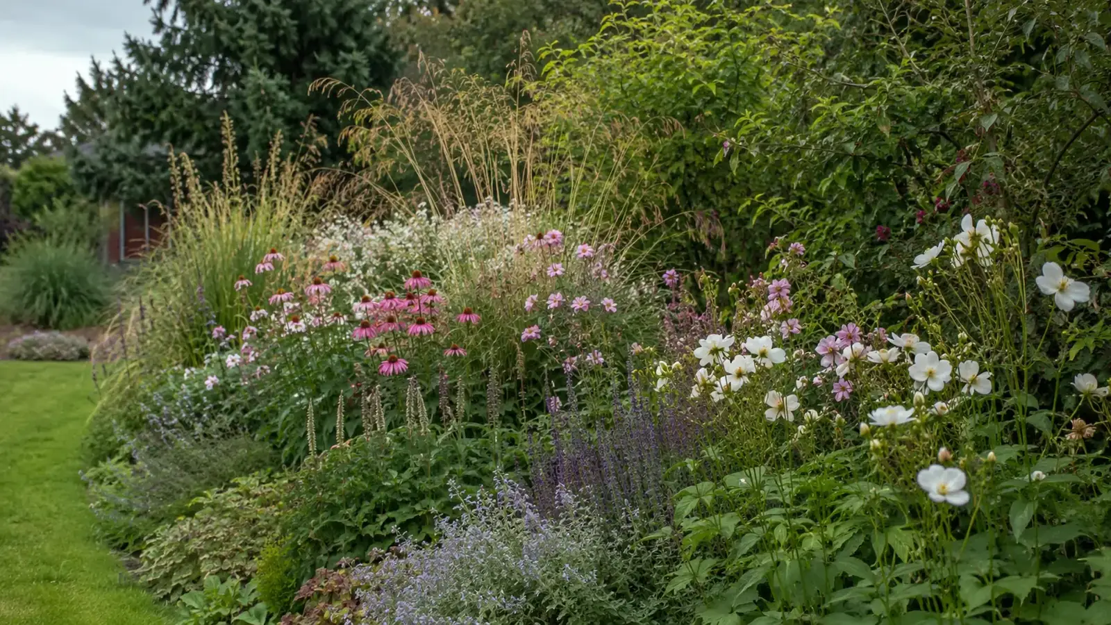Mehrjähriges Staudenbeet mit Echinacea, Gräsern und Herbstanemonen im Spätsommer