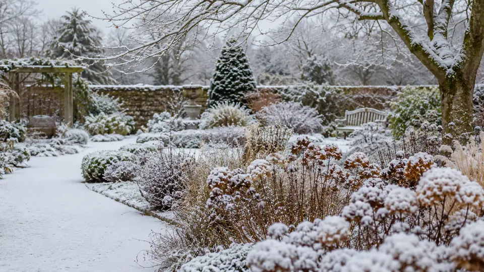 Garten im Winter