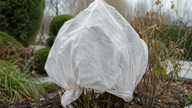 Garten winterfest machen