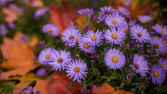 September
