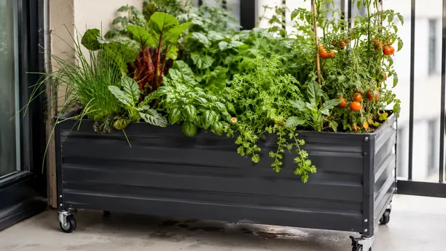 Hochbeet für den Balkon