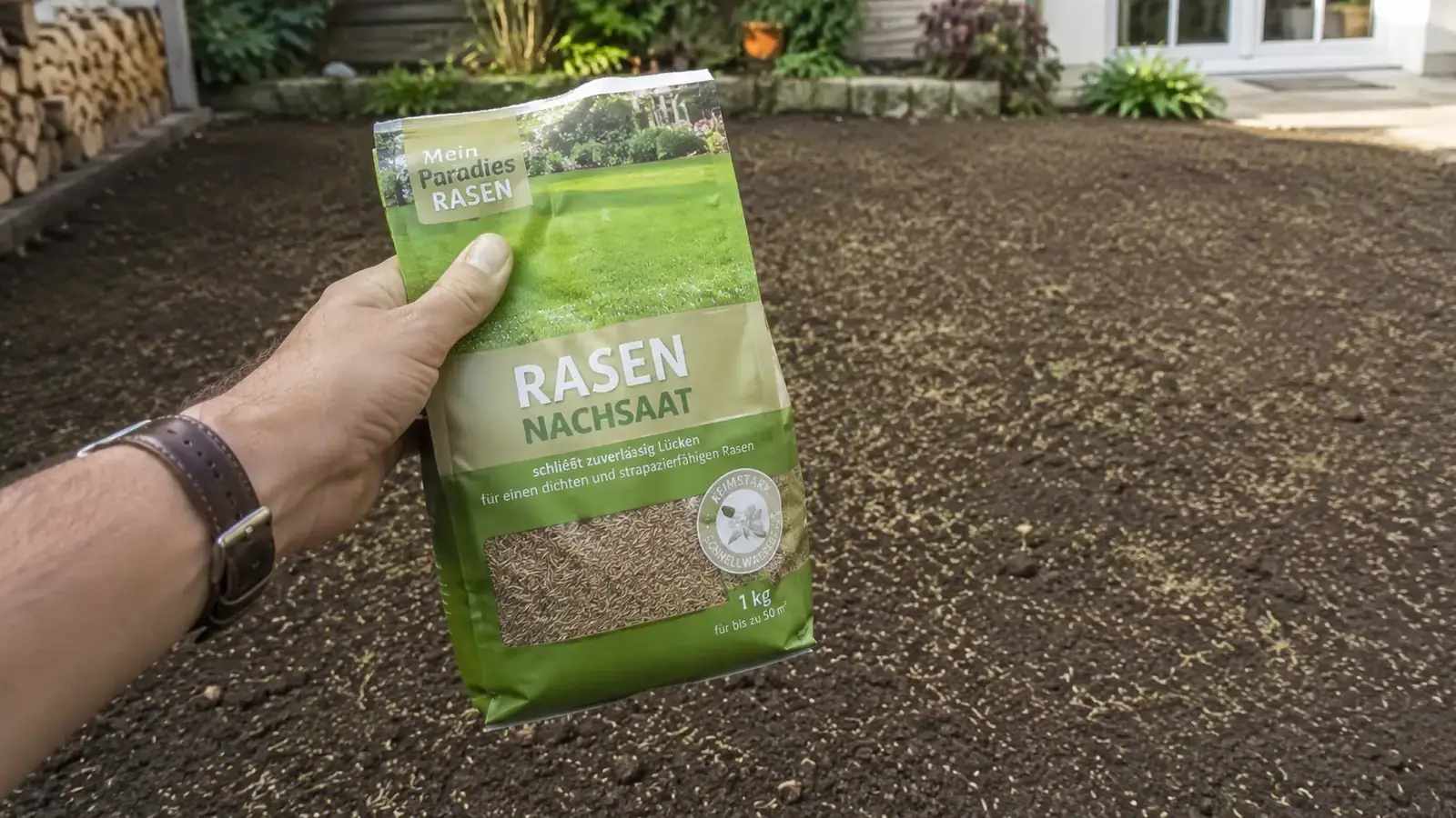 Idealer Aussaat-Zeitpunkt fuer Rasen im warmen Herbstboden