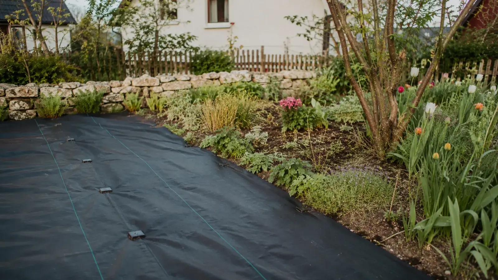 Unkrautvlies: Vor- und Nachteile plus Alternativen | gartenfeeling